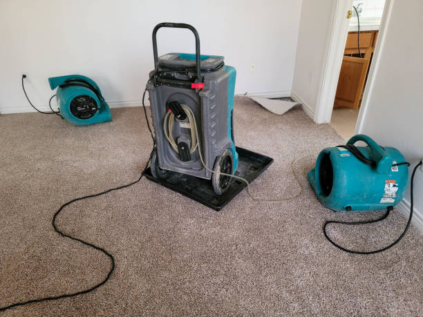 Professional Water damage restoration in Proctor, VT