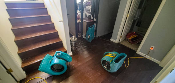 Best Water damage cleanup near me  in Proctor, VT