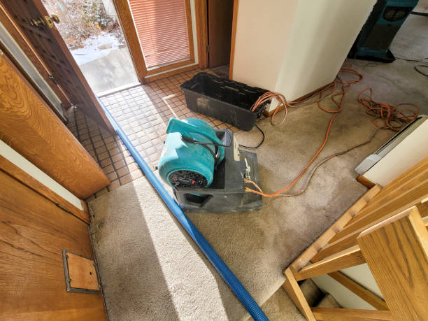 Best Residential water damage restoration  in Proctor, VT