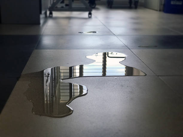 Best Commercial water damage restoration  in Proctor, VT