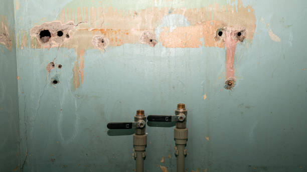 Best Water damage restoration near me  in Proctor, VT